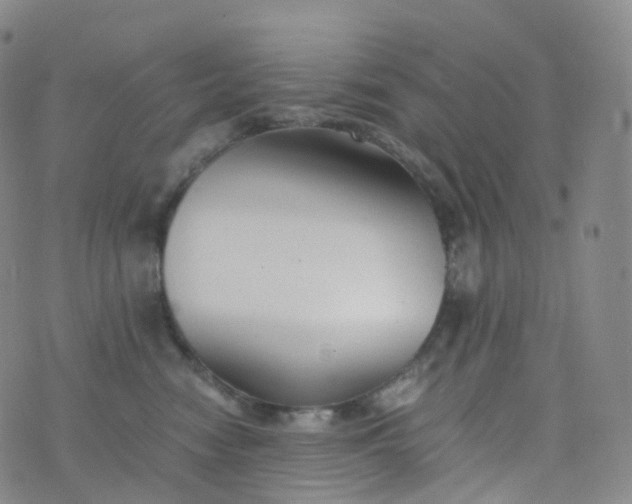 X0000076430474200610202249