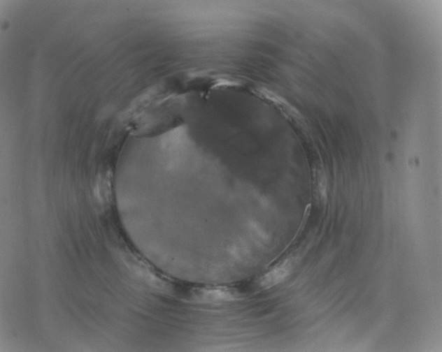 X0000076430475200610202249