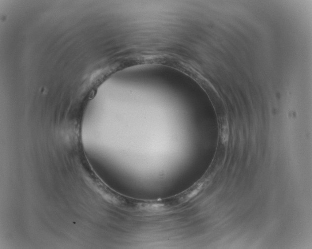 X0000076430476200610202249