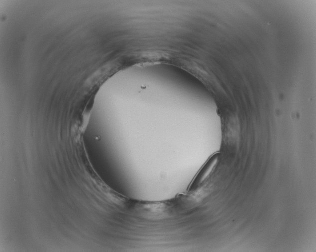 X0000076430478200610202249