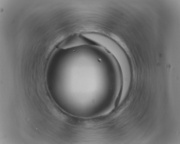 X0000076430481200610202249