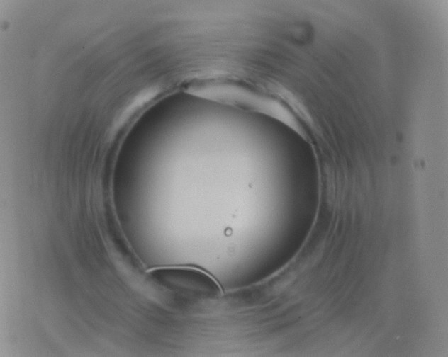 X0000076430482200610202249