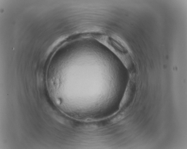 X0000076430483200610202249