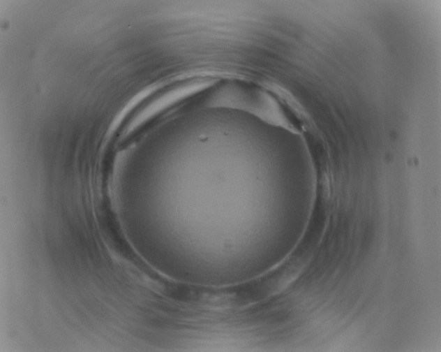 X0000076430484200610202249