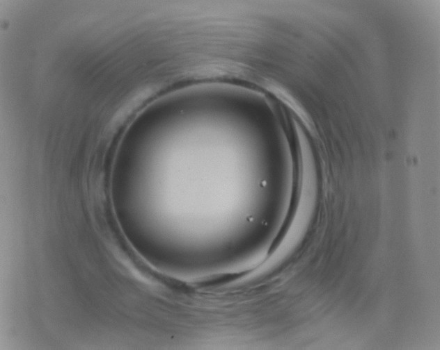 X0000076430485200610202249