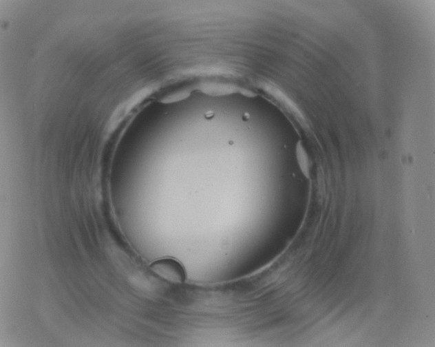 X0000076430486200610202248