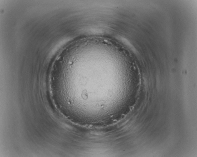 X0000076430487200610202248