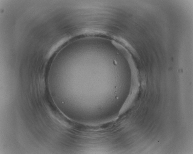 X0000076430488200610202248