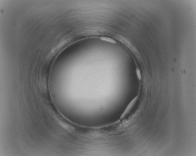 X0000076430489200610202248