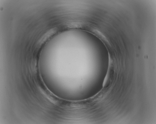 X0000076430490200610202248