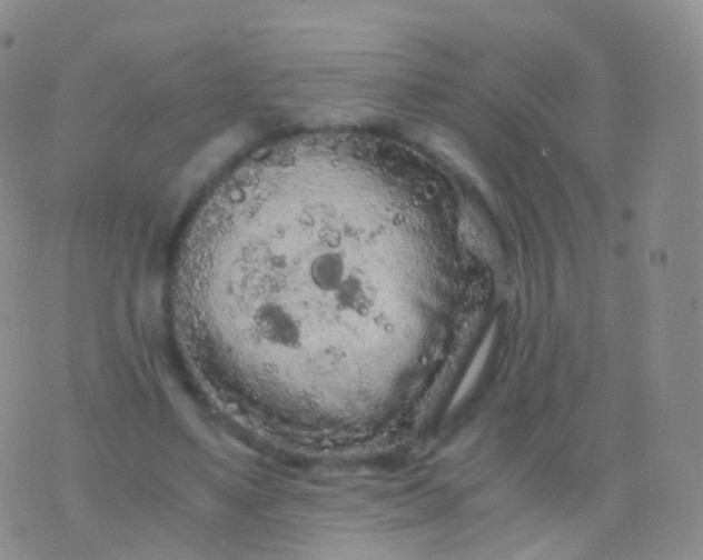 X0000076430491200610202248