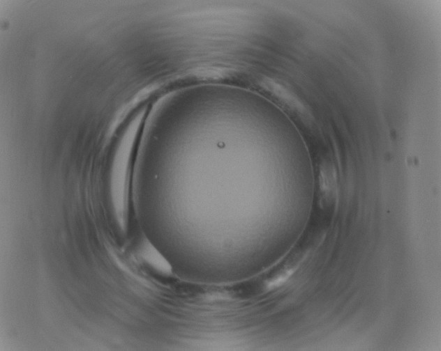 X0000076430492200610202248