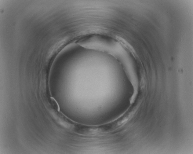 X0000076430493200610202248