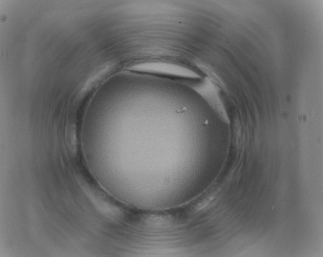 X0000076430494200610202248