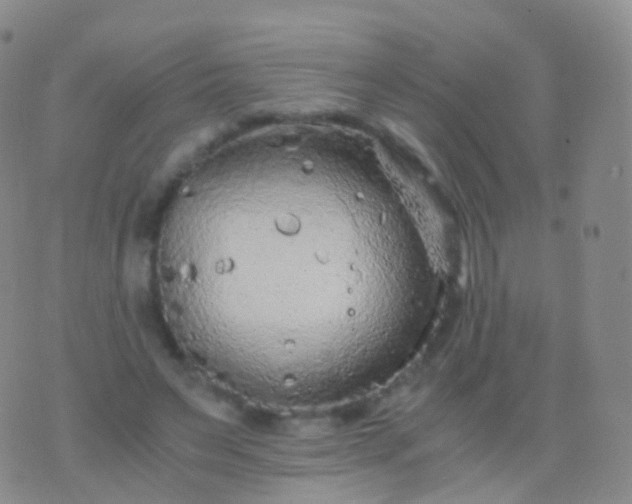 X0000076430495200610202248