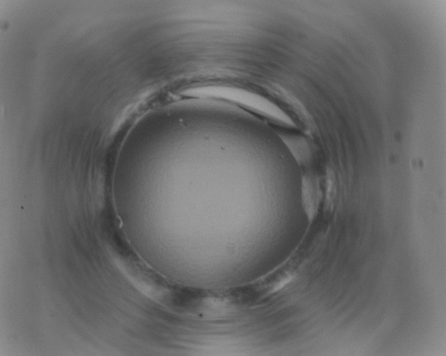 X0000076430496200610202248