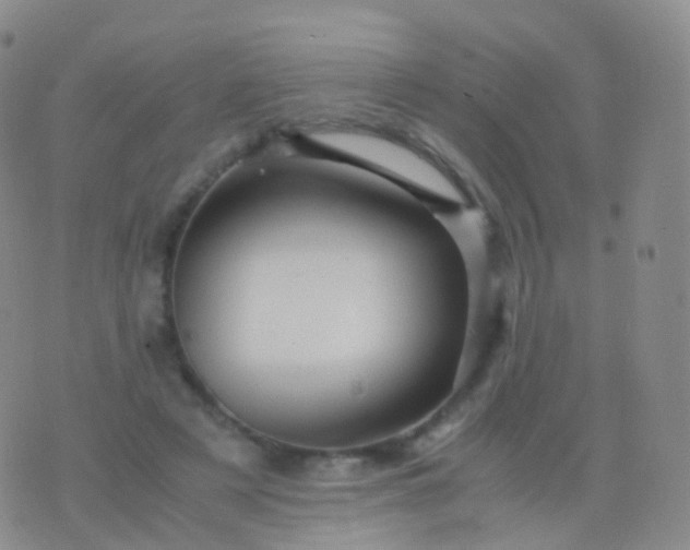 X0000076430497200610202248