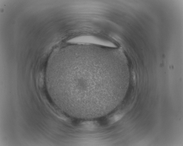 X0000076430499200610202248