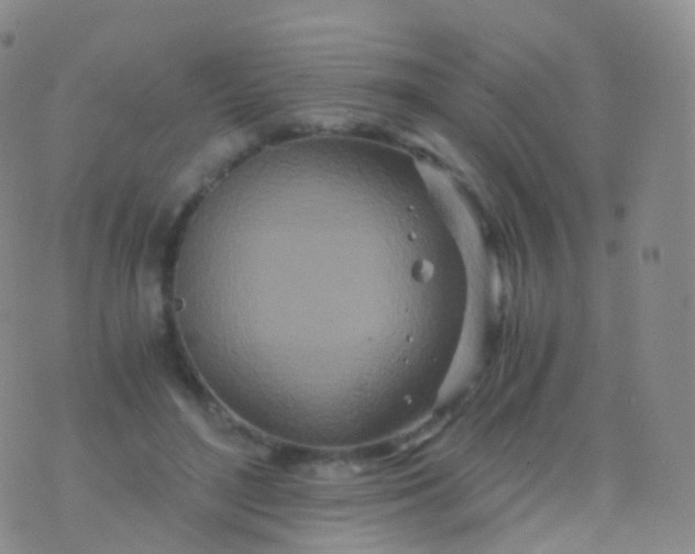 X0000076430500200610202248