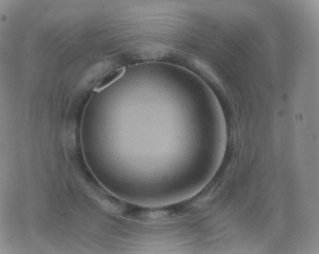 X0000076430501200610202248