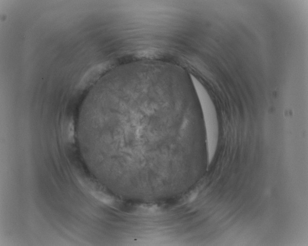 X0000076430502200610202248