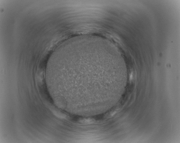 X0000076430503200610202248