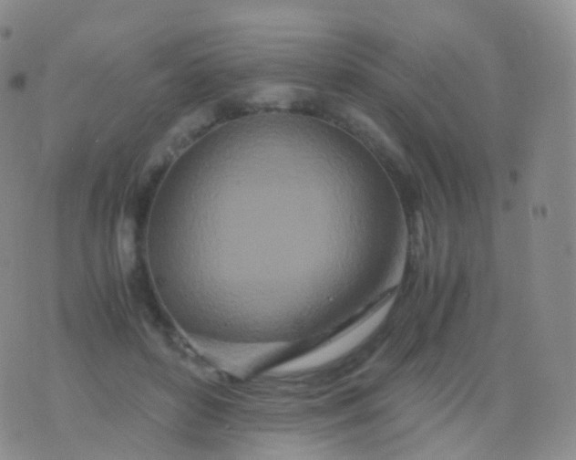 X0000076430504200610202248