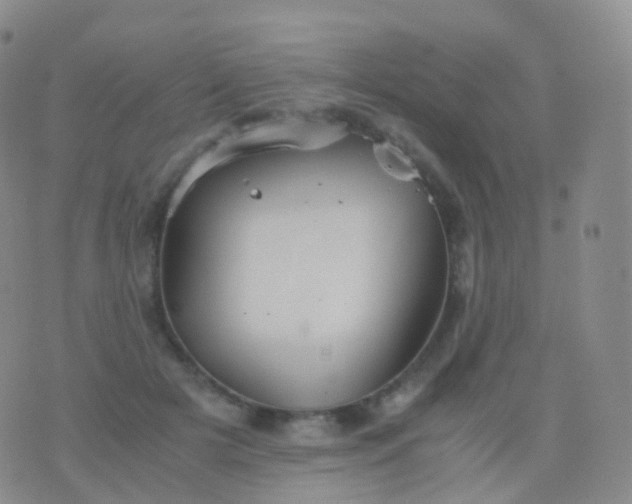 X0000076430505200610202248