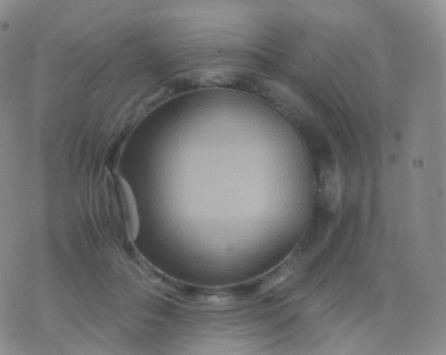 X0000076430506200610202248