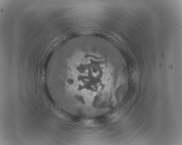 X0000076430507200610202248