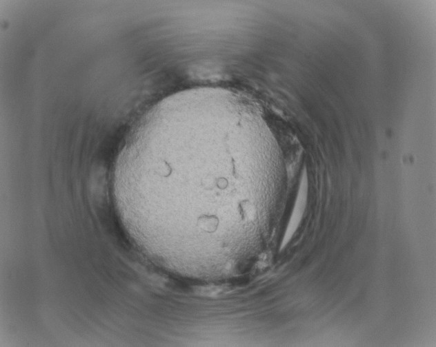 X0000076430511200610202248