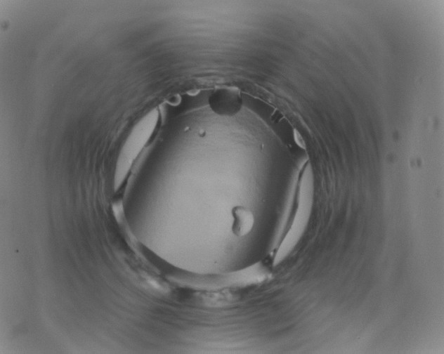 X0000076430512200610202248