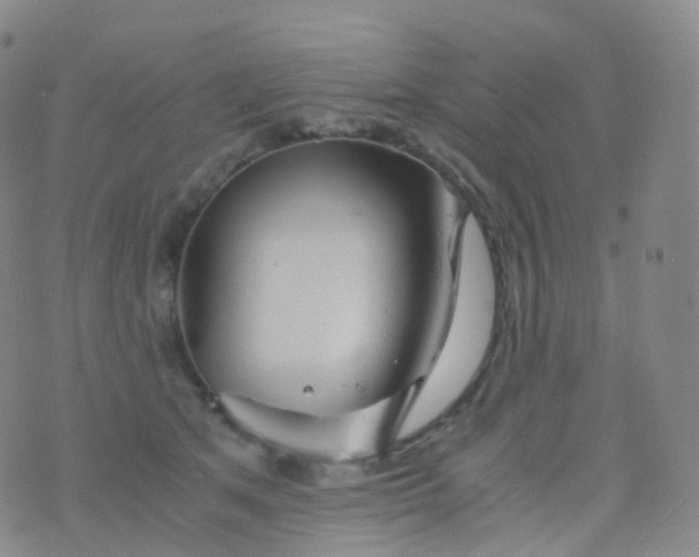 X0000076430513200610202248