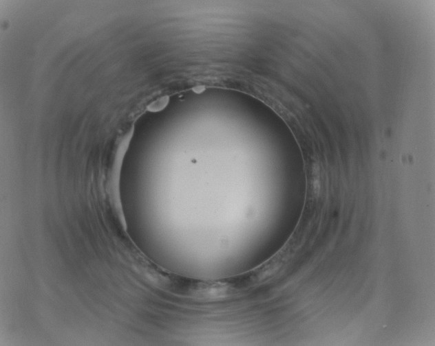 X0000076430514200610202248