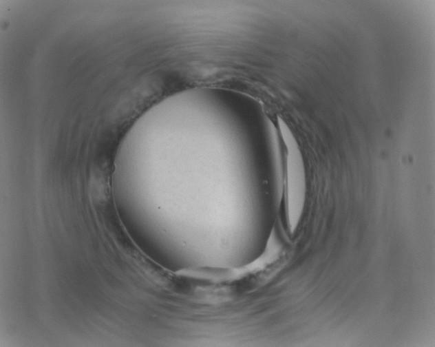 X0000076430515200610202248