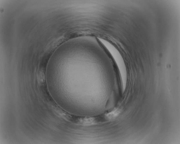 X0000076430517200610202248