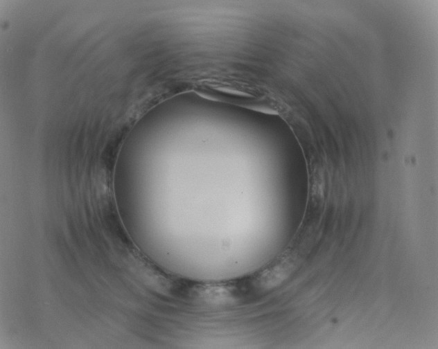 X0000076430518200610202248