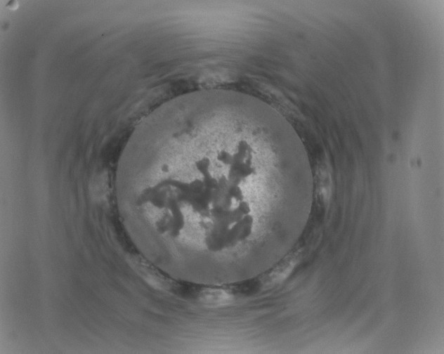 X0000076430519200610202248