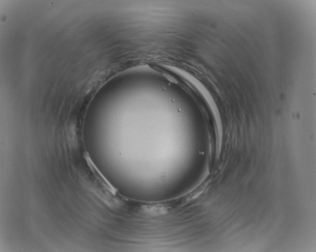 X0000076430520200610202248