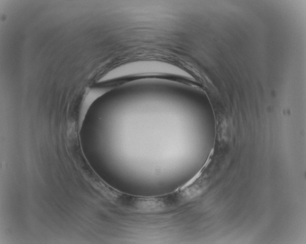 X0000076430521200610202248