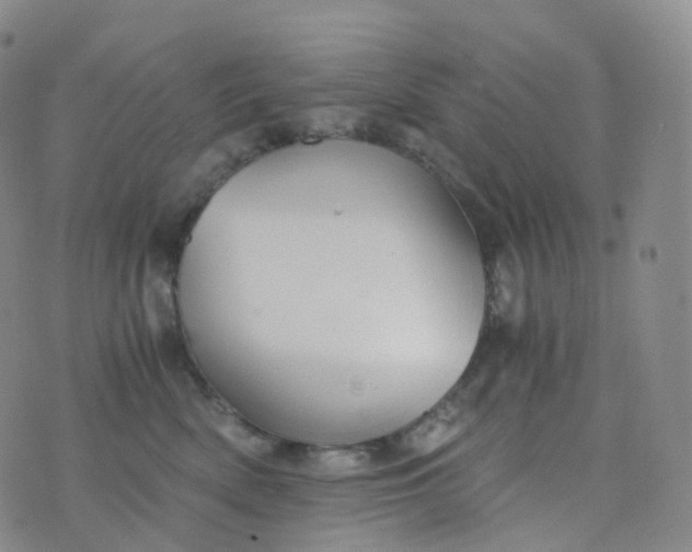 X0000076430522200610202248