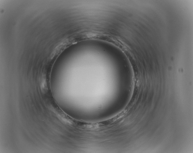 X0000076430524200610202248