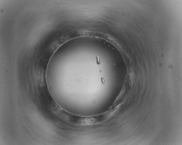 X0000076430525200610202248