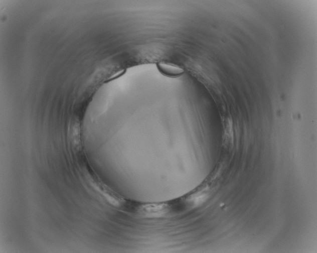 X0000076430526200610202248