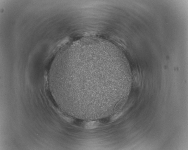 X0000076430527200610202248