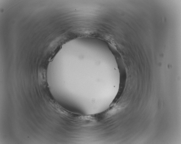 X0000076430528200610202248