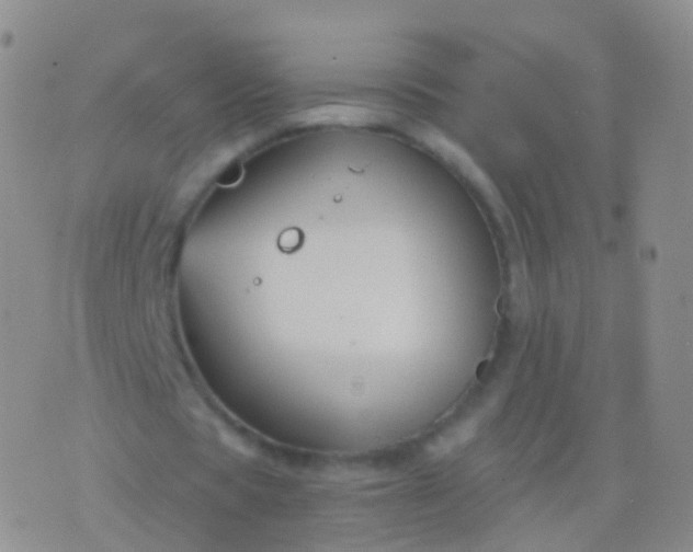 X0000076430529200610202247