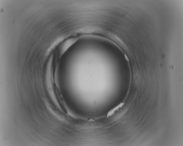 X0000076430530200610202247