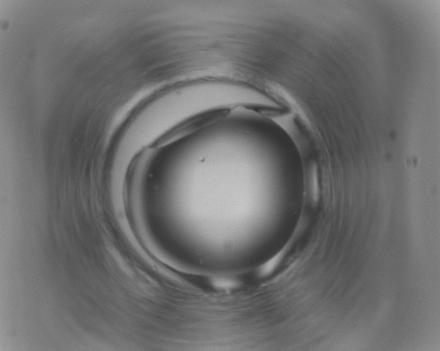 X0000076430532200610202247