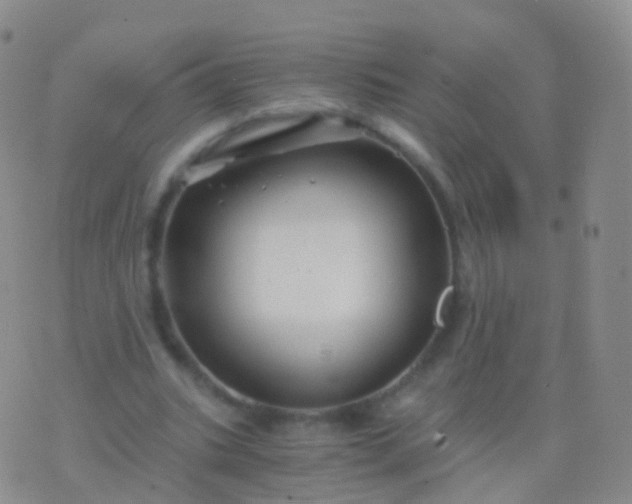 X0000076430535200610202247